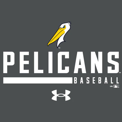 Myrtle Beach Pelicans Under Armour Youth Castlerock Heather Tech Tee - Image 2