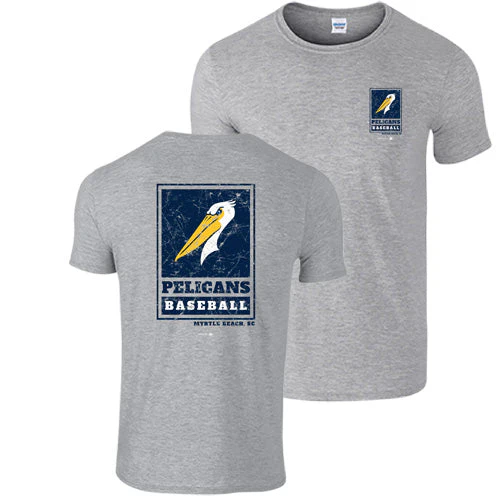 Myrtle Beach Pelicans Vantage Apparel Gray Alternate Panel Softstyle Tee