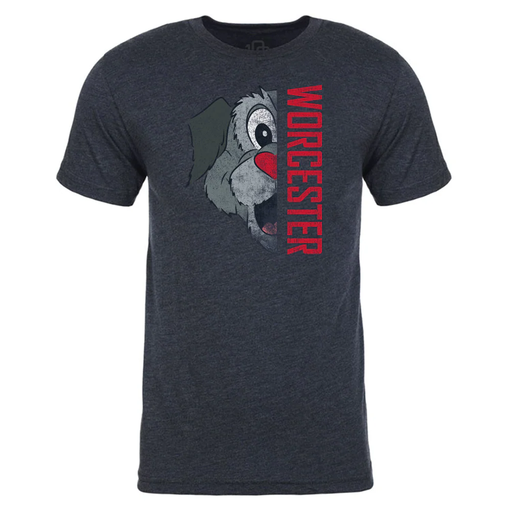 Worcester Red Sox 108 Stitches Heather Navy Split Screen Woofster Tee