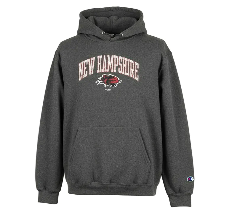 New Hampshire Fisher Cats Kids Champion Powerblend Fleece Hoodie Gray
