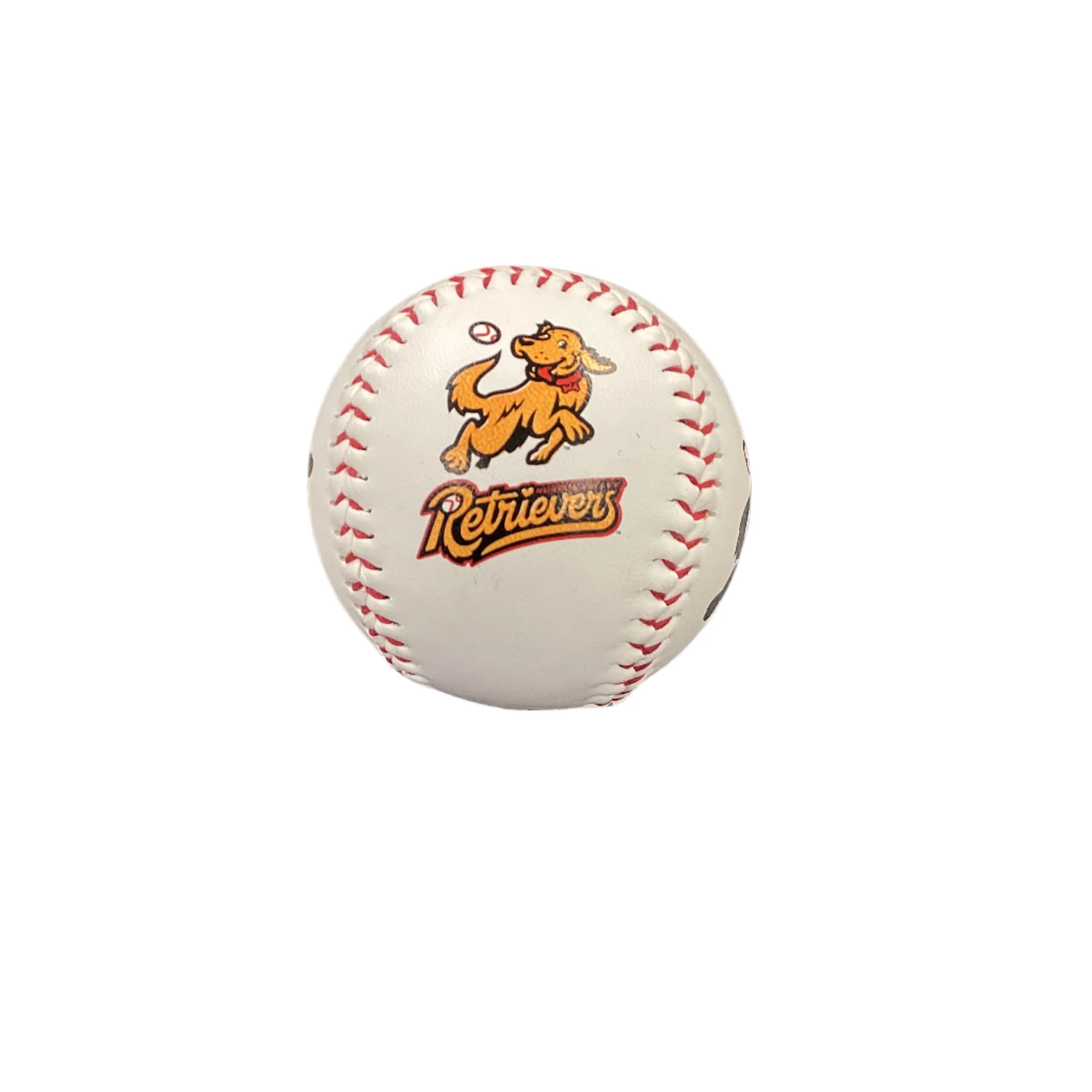 Hudson Valley Retrievers 4-Colorway Baseball