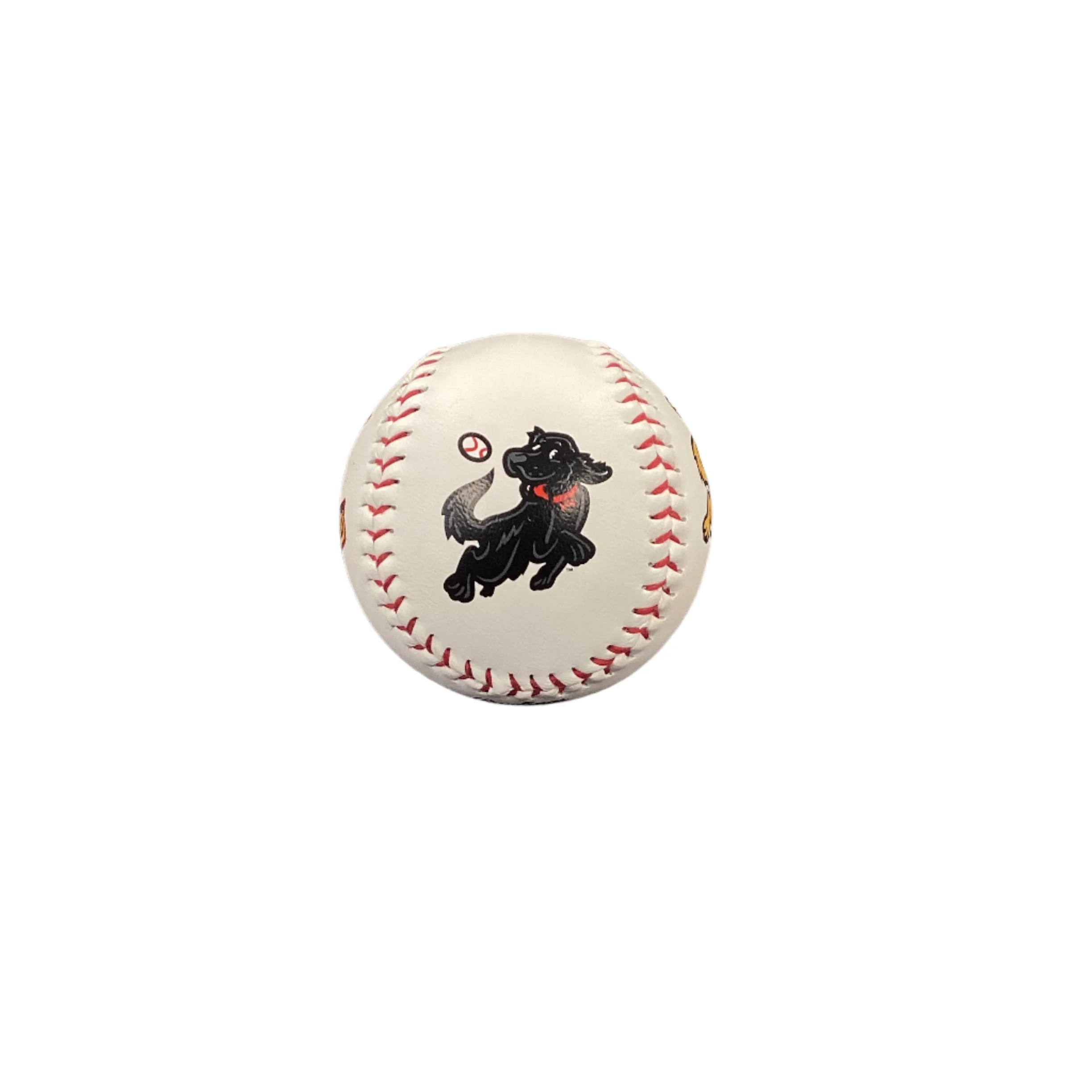 Hudson Valley Retrievers 4-Colorway Baseball - Image 2