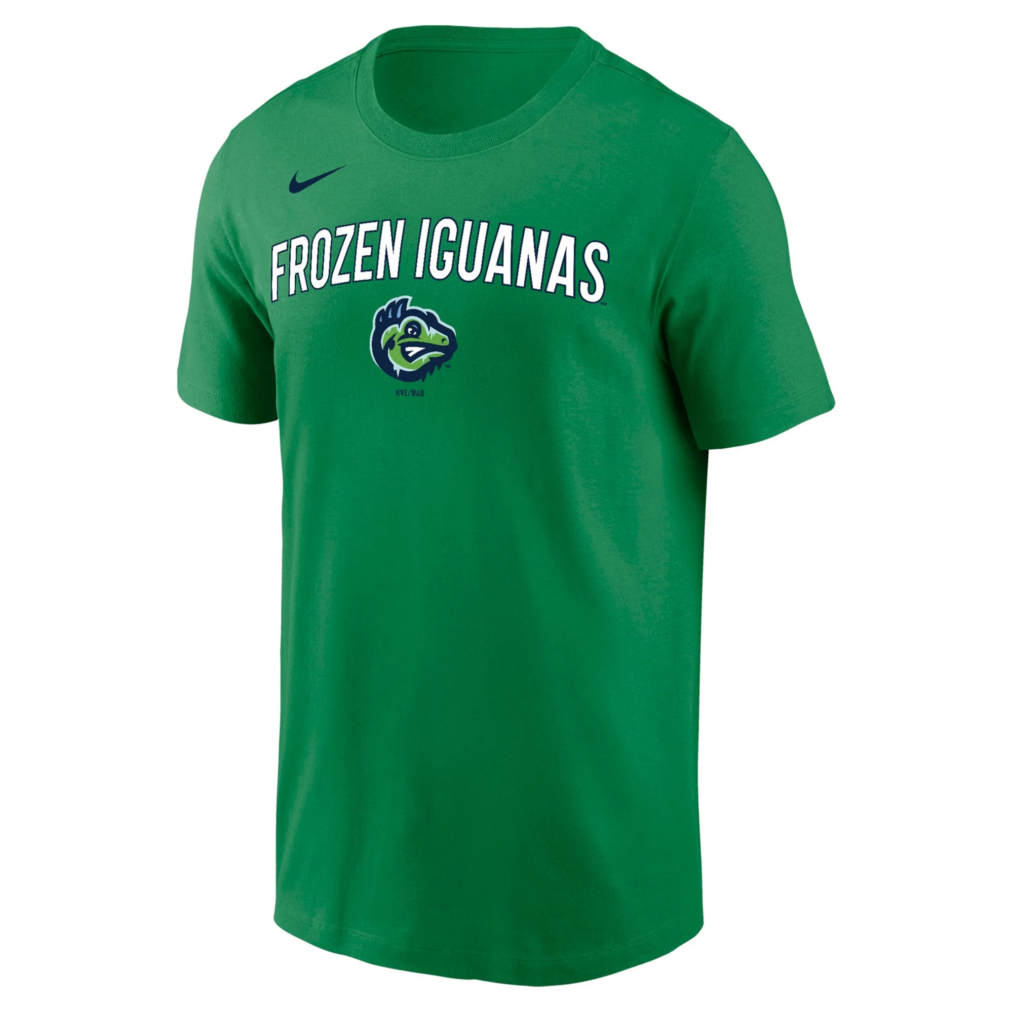 Nike Dri-Fit Cotton Tee