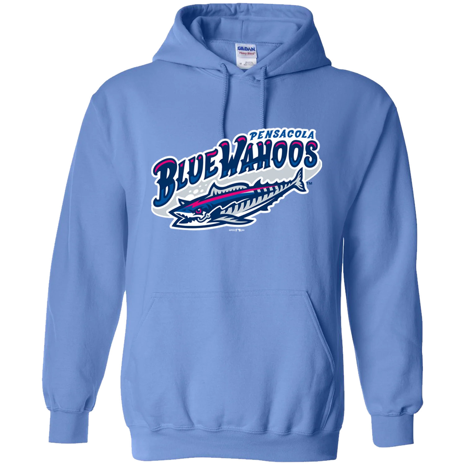 Pensacola Blue Wahoos Hoodie - Image 4