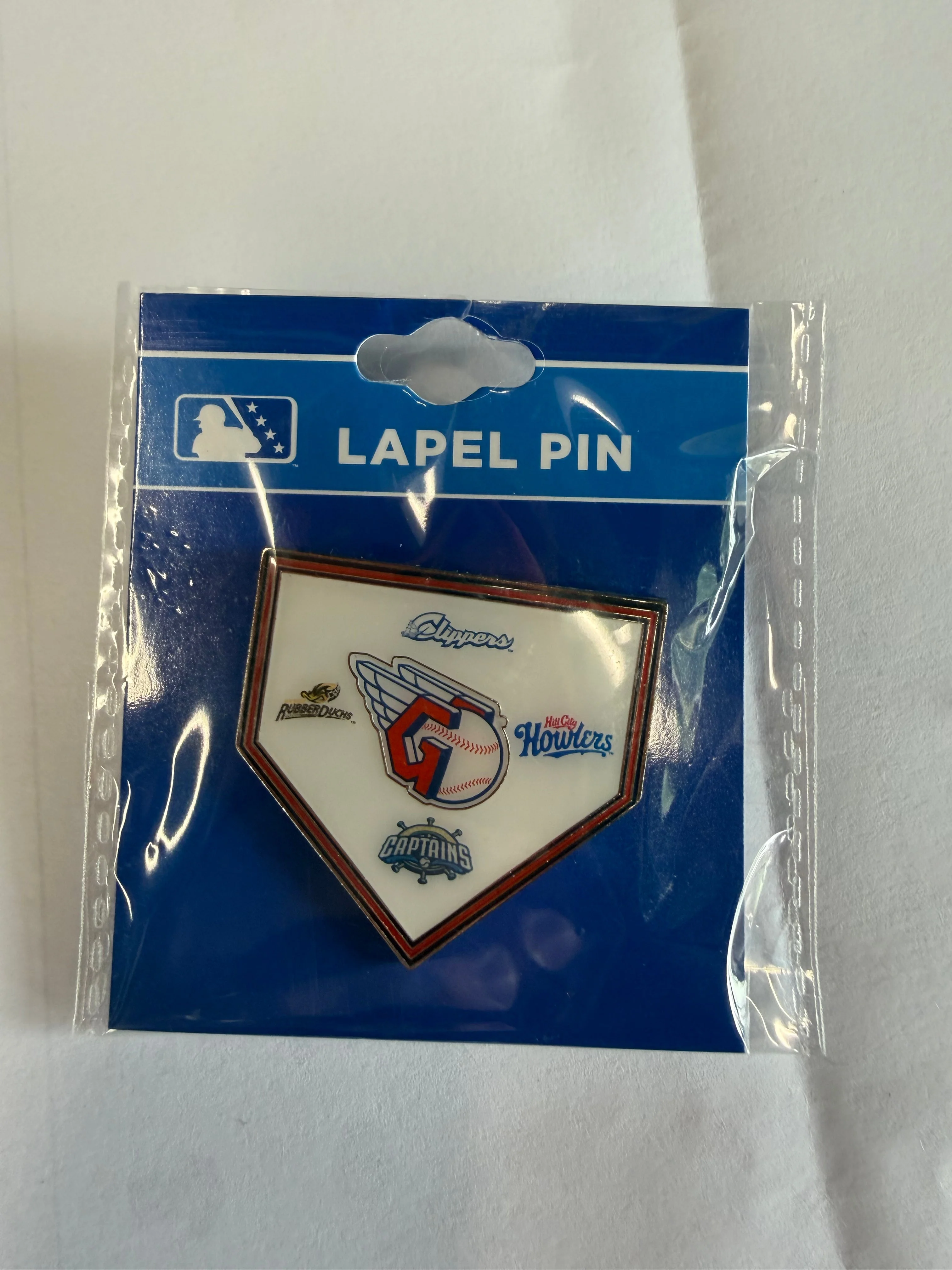 Plate Affiliates Lapel Pin