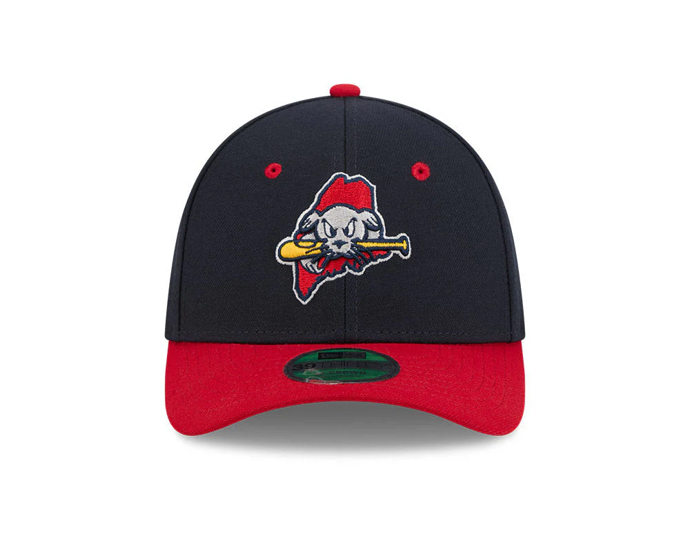 Portland Sea Dogs 39Thirty MCrown State of Maine Hat - Image 2