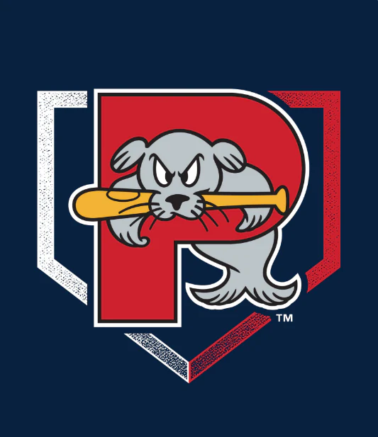 Portland Sea Dogs 50x60in Plush Navy Blanket
