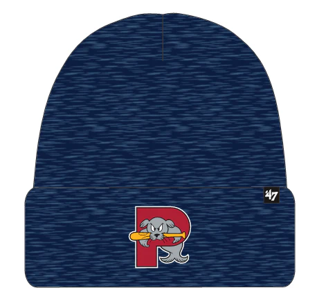 Portland Sea Dogs Brain Freeze Knit Beanie