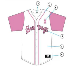 Portland Sea Dogs Mother's Day Replica Jersey