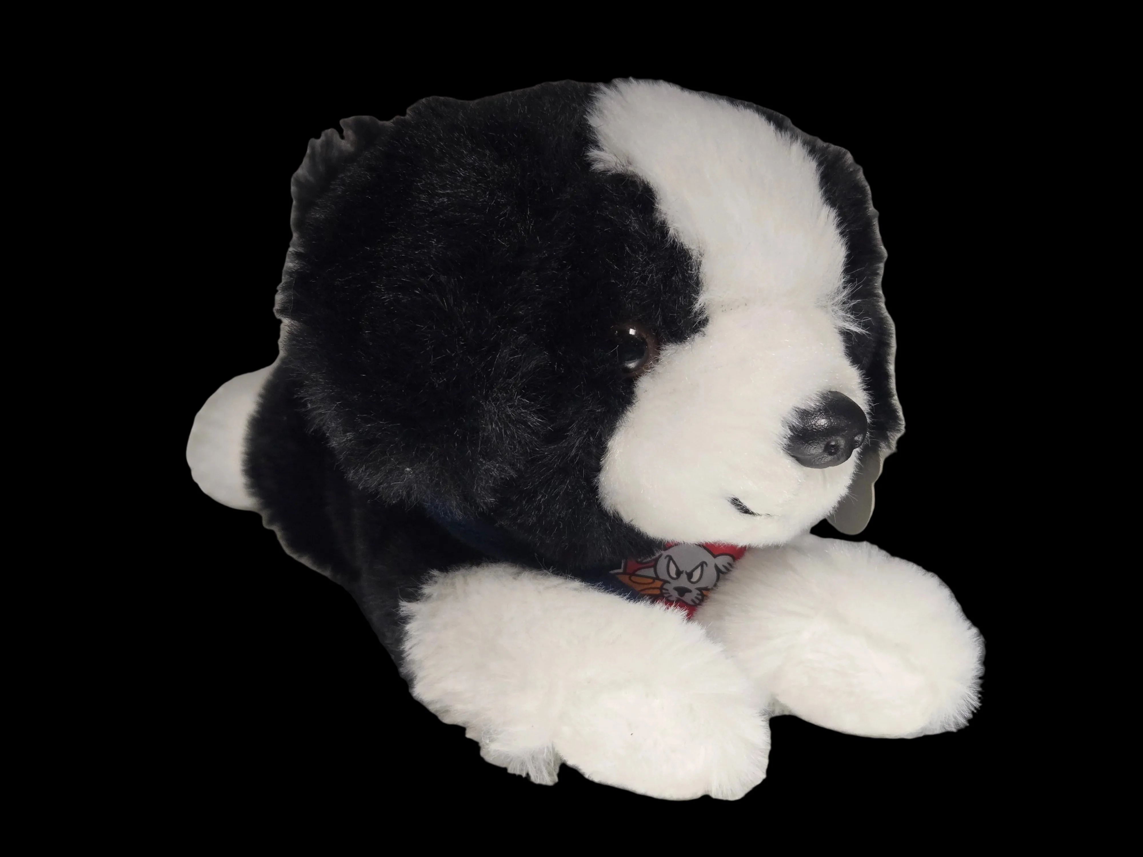 Portland Sea Dogs Tiny Tykes Border Collie