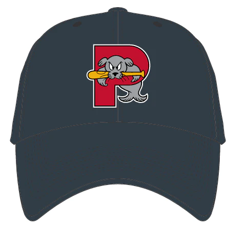 Portland Sea Dogs USA Heritage Clean Up Cap