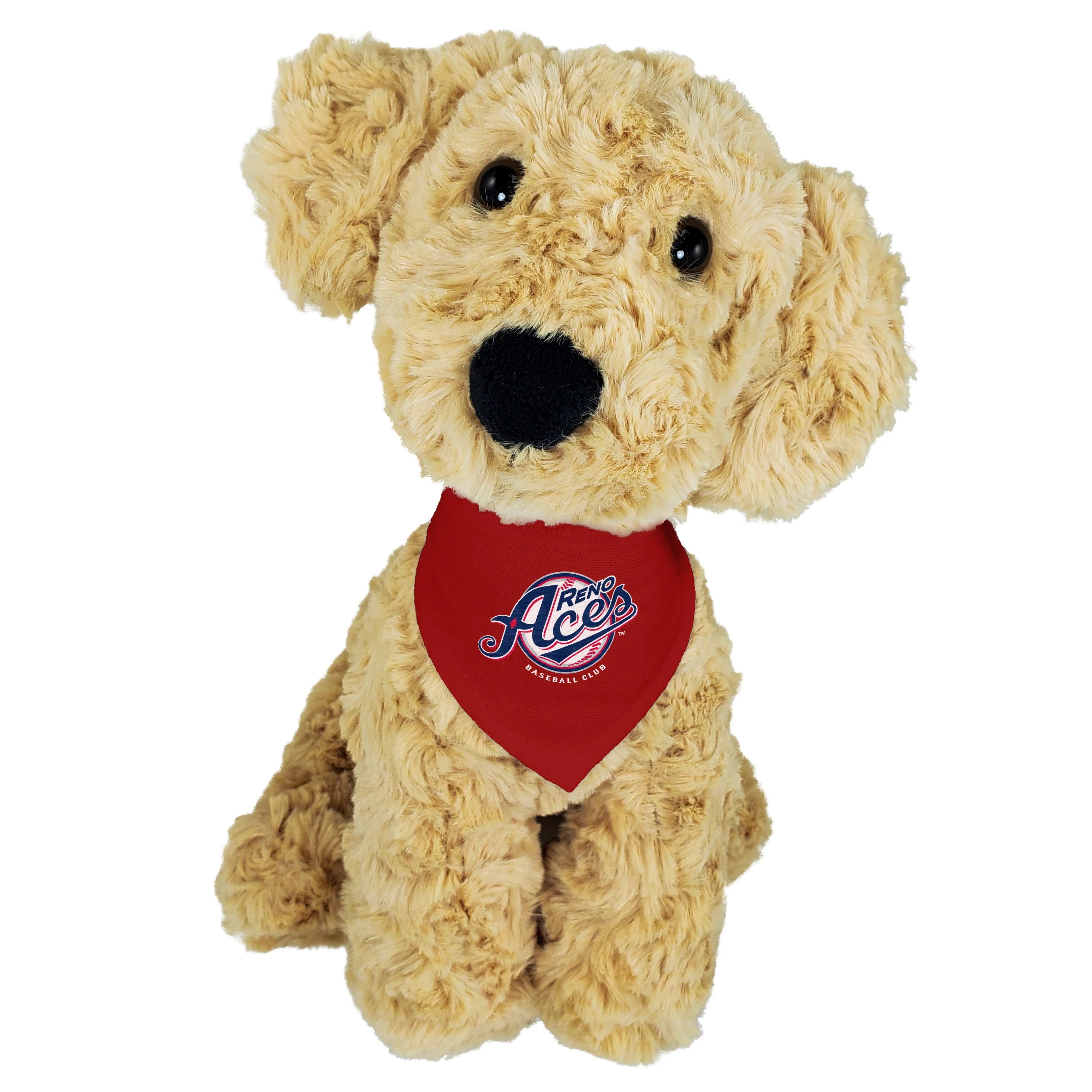 Reno Aces Mighty Tykes Golden Retriever