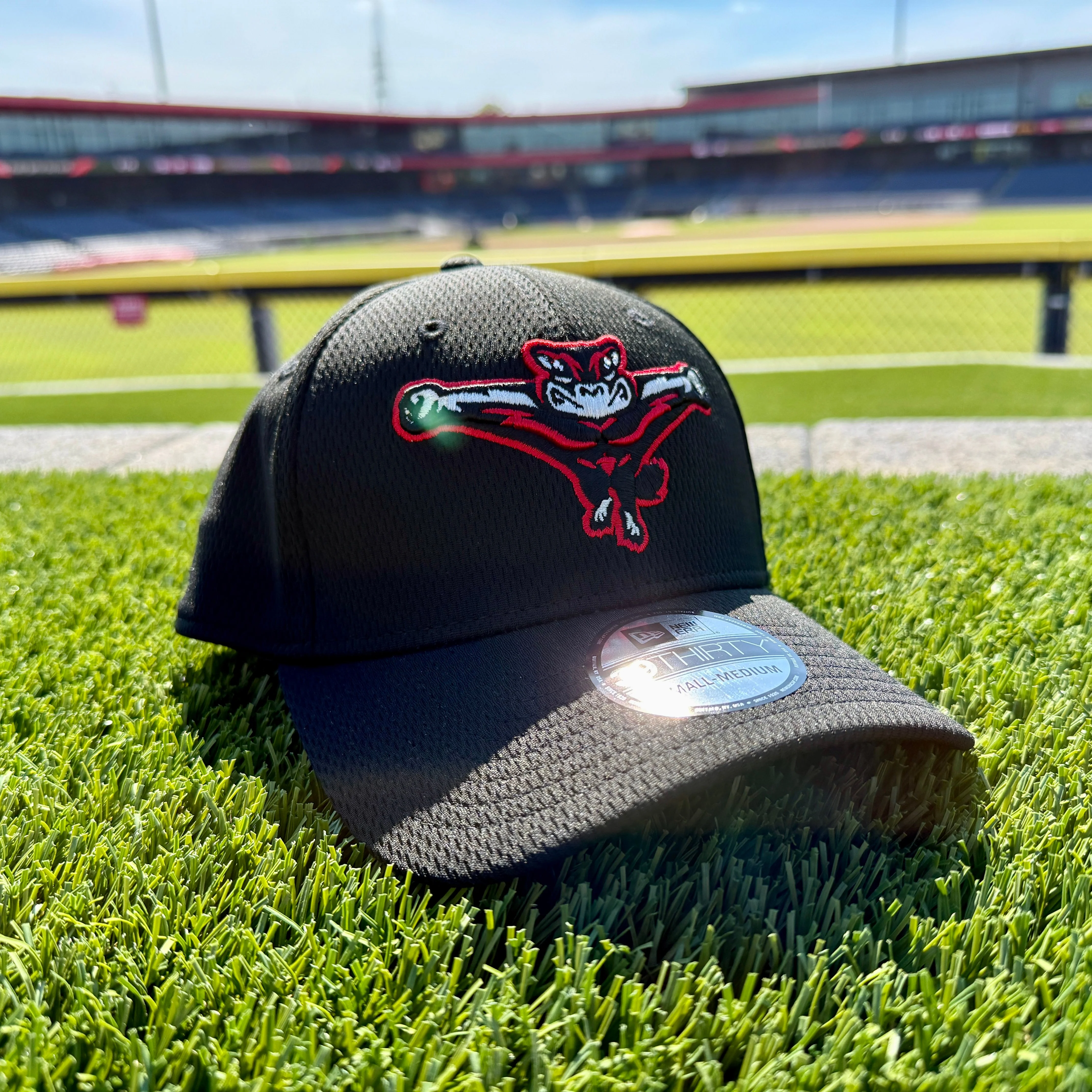 Richmond Flying Squirrels New Era Blastoff 39Thirty