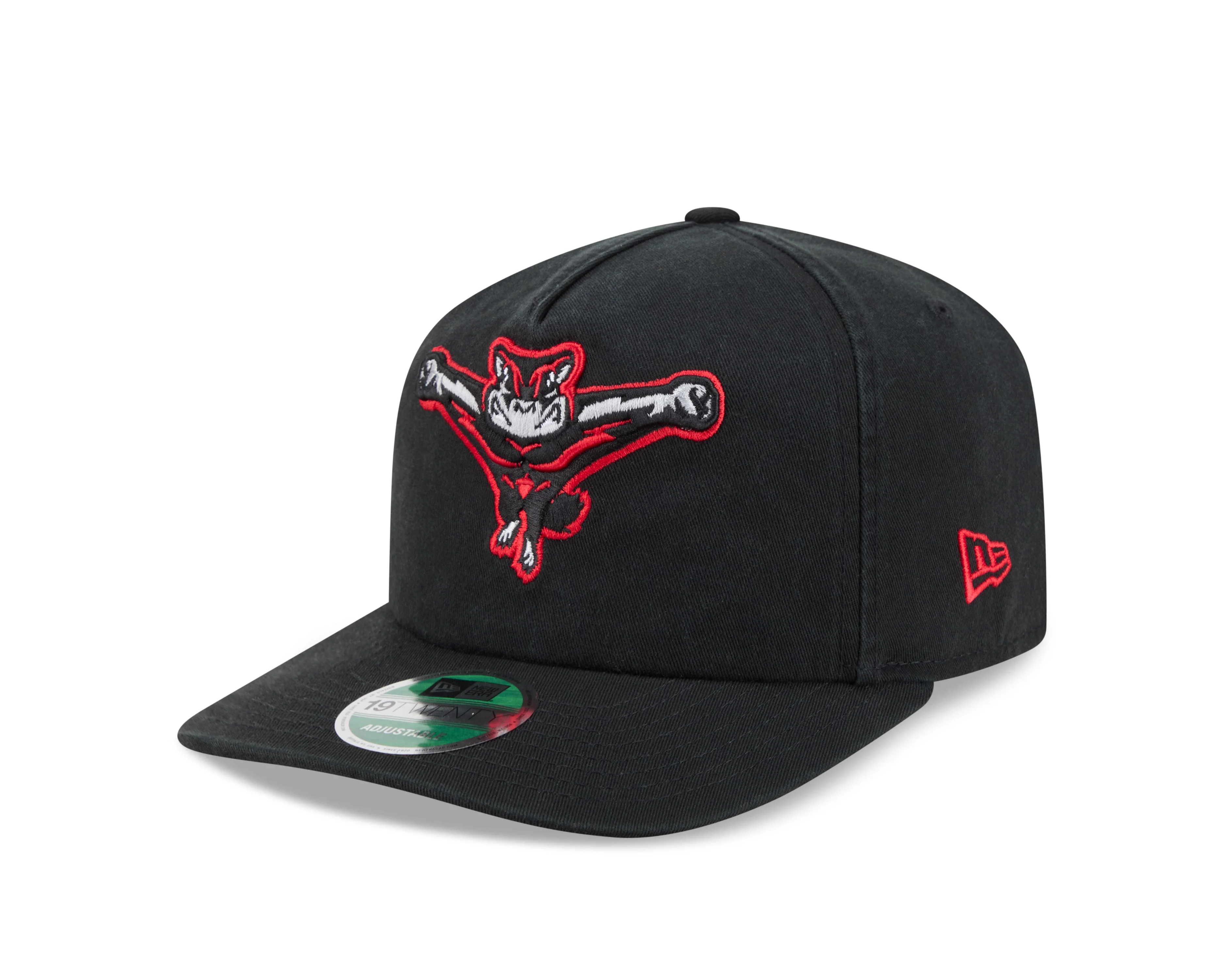 Richmond Flying Squirrels New Era Home 19Twenty Cap