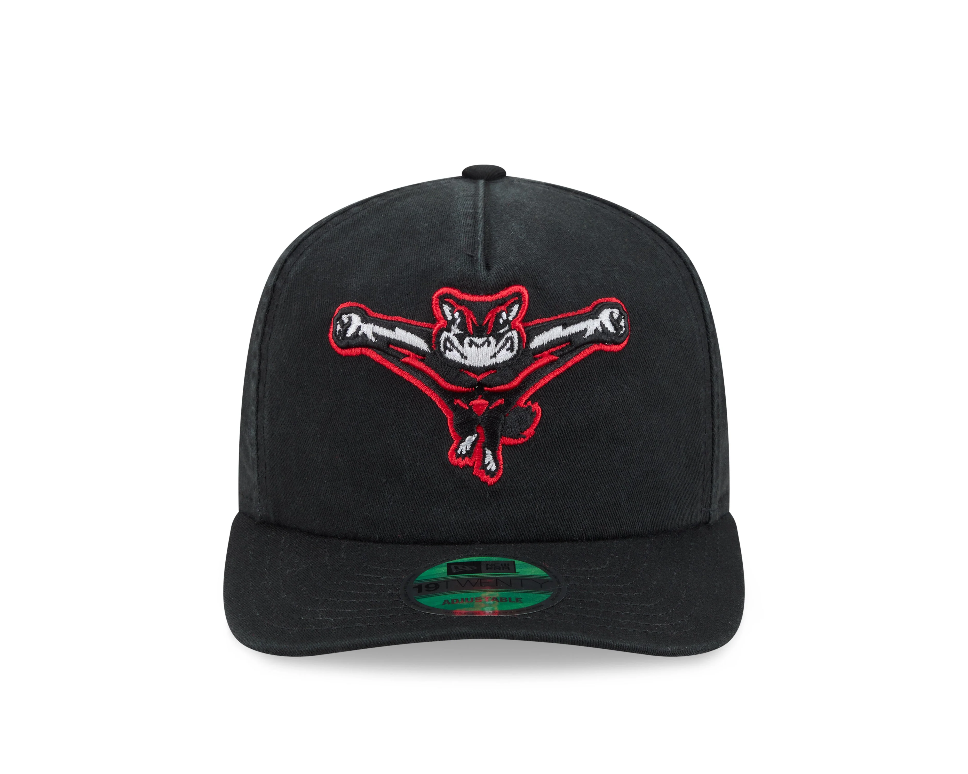 Richmond Flying Squirrels New Era Home 19Twenty Cap - Image 3