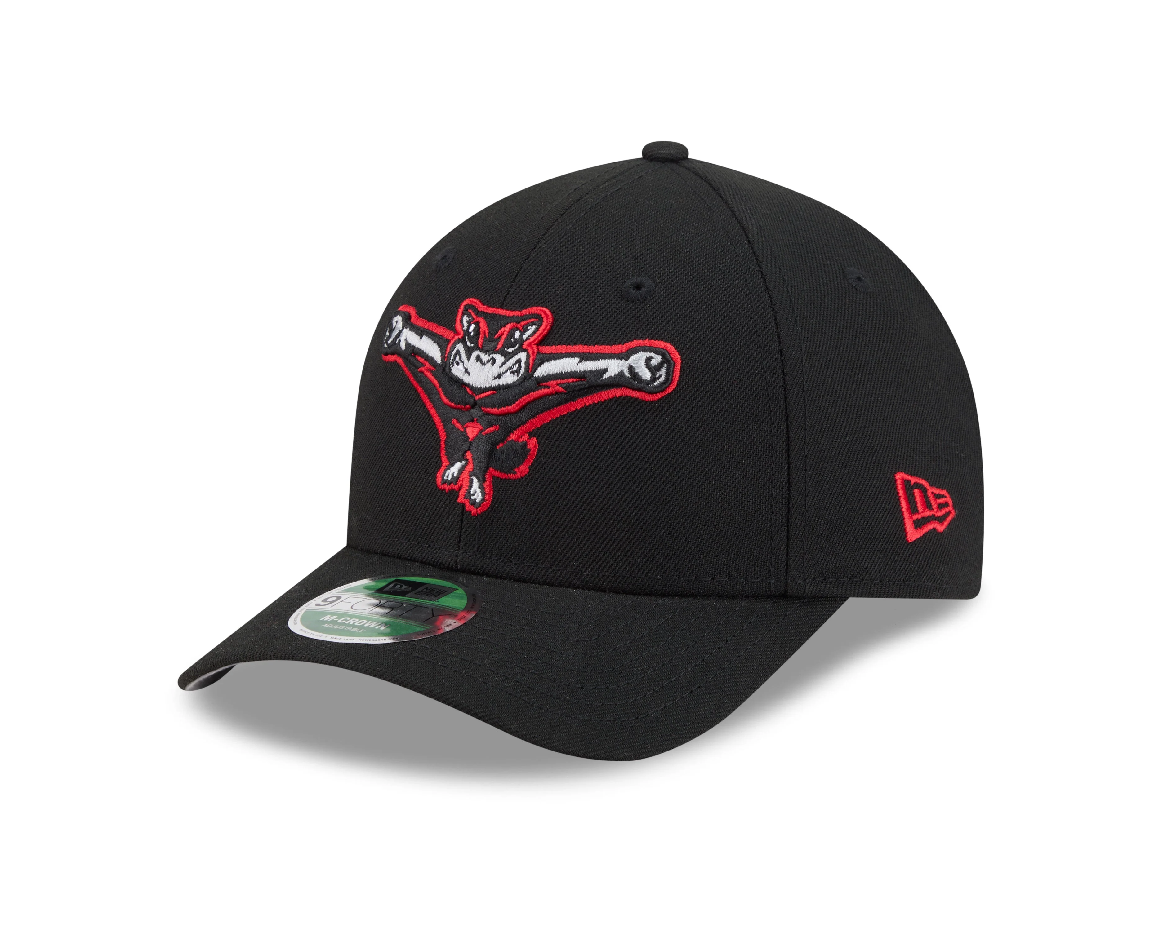 Richmond Flying Squirrels New Era Home 9Forty M-Crown Cap