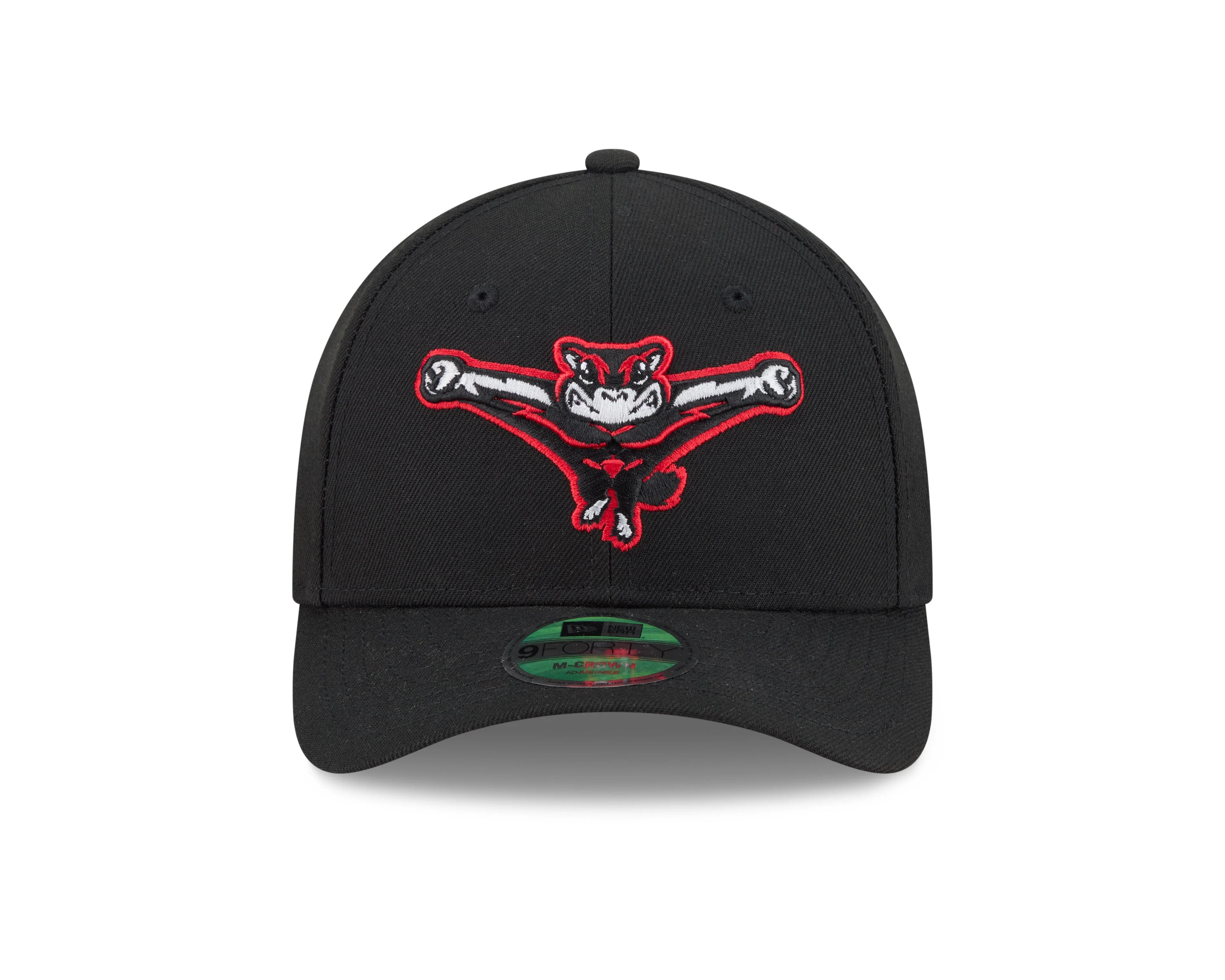 Richmond Flying Squirrels New Era Home 9Forty M-Crown Cap - Image 3