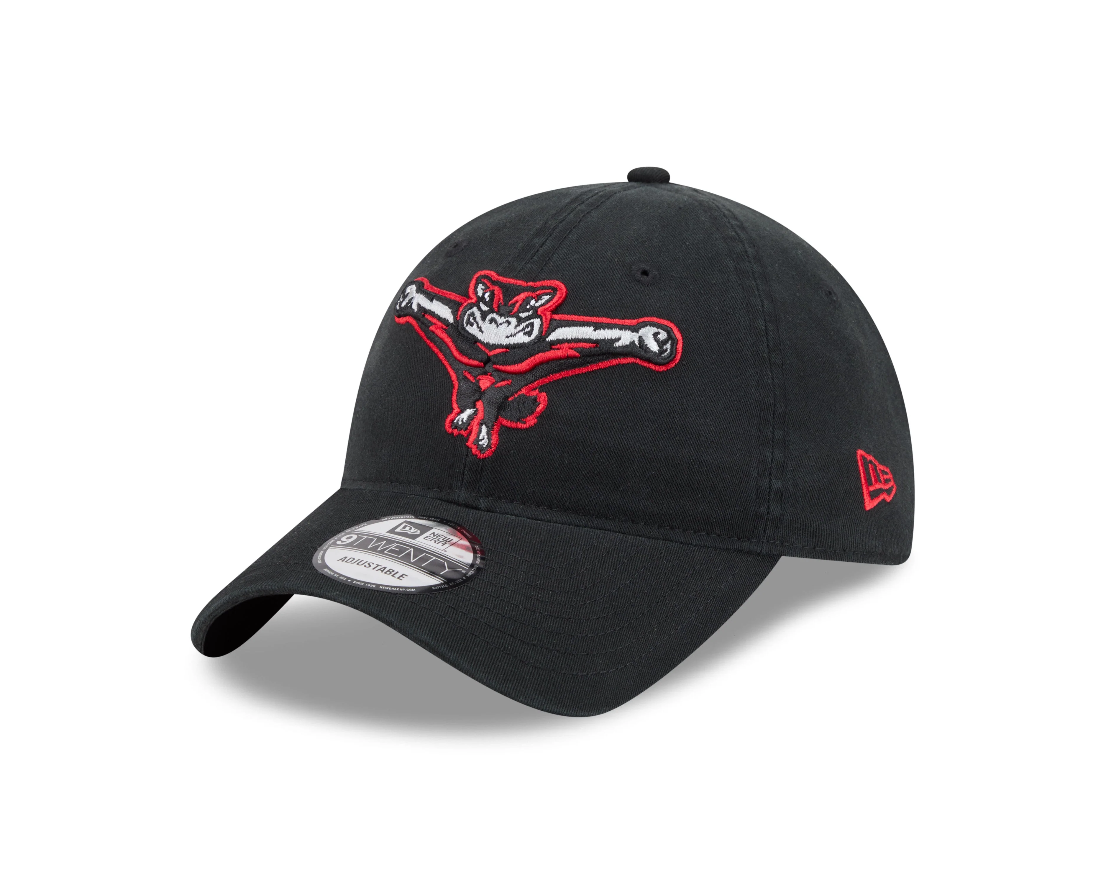 Richmond Flying Squirrels New Era Home 9Twenty Cap