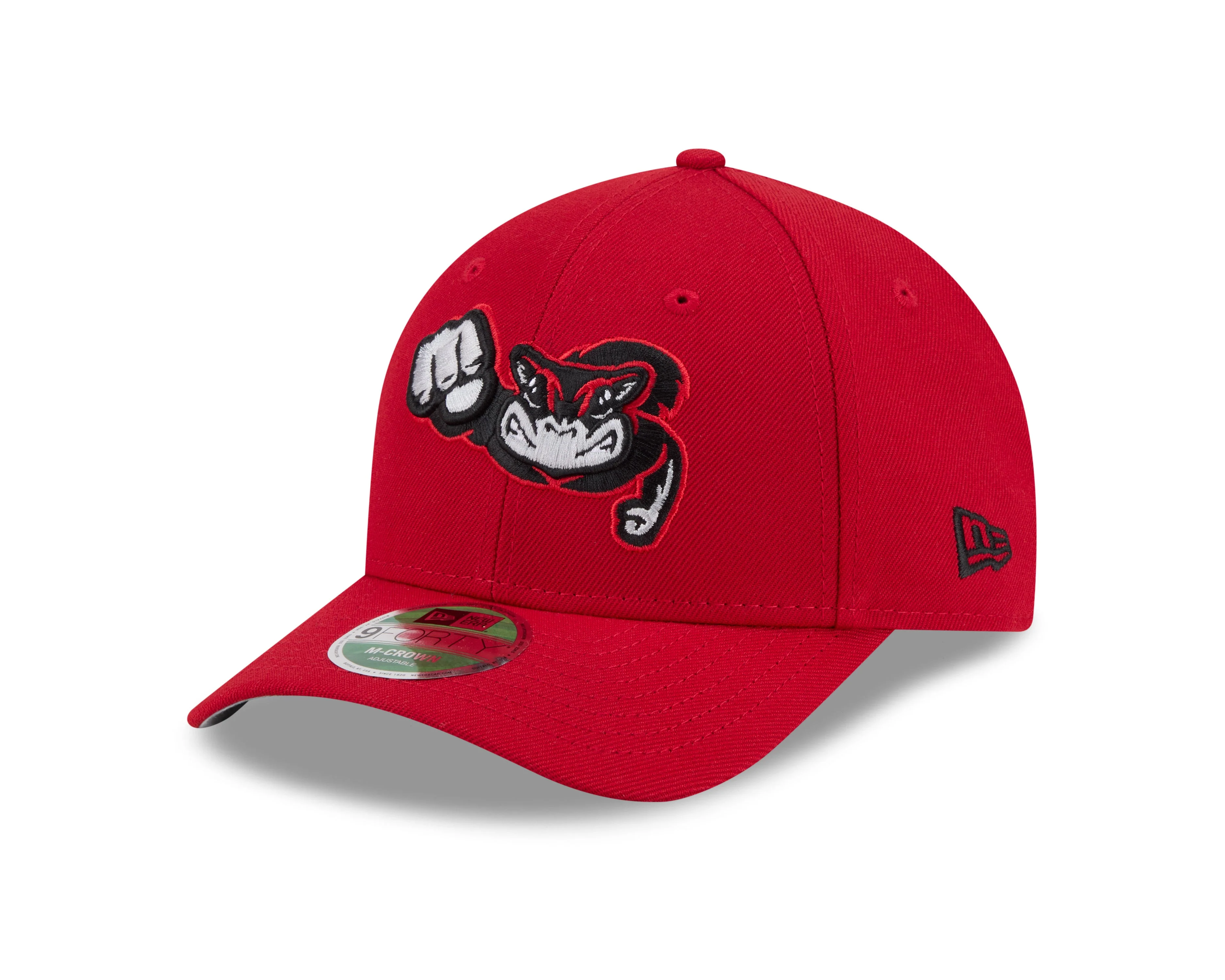 Richmond Flying Squirrels New Era Road 9Forty M-Crown Cap