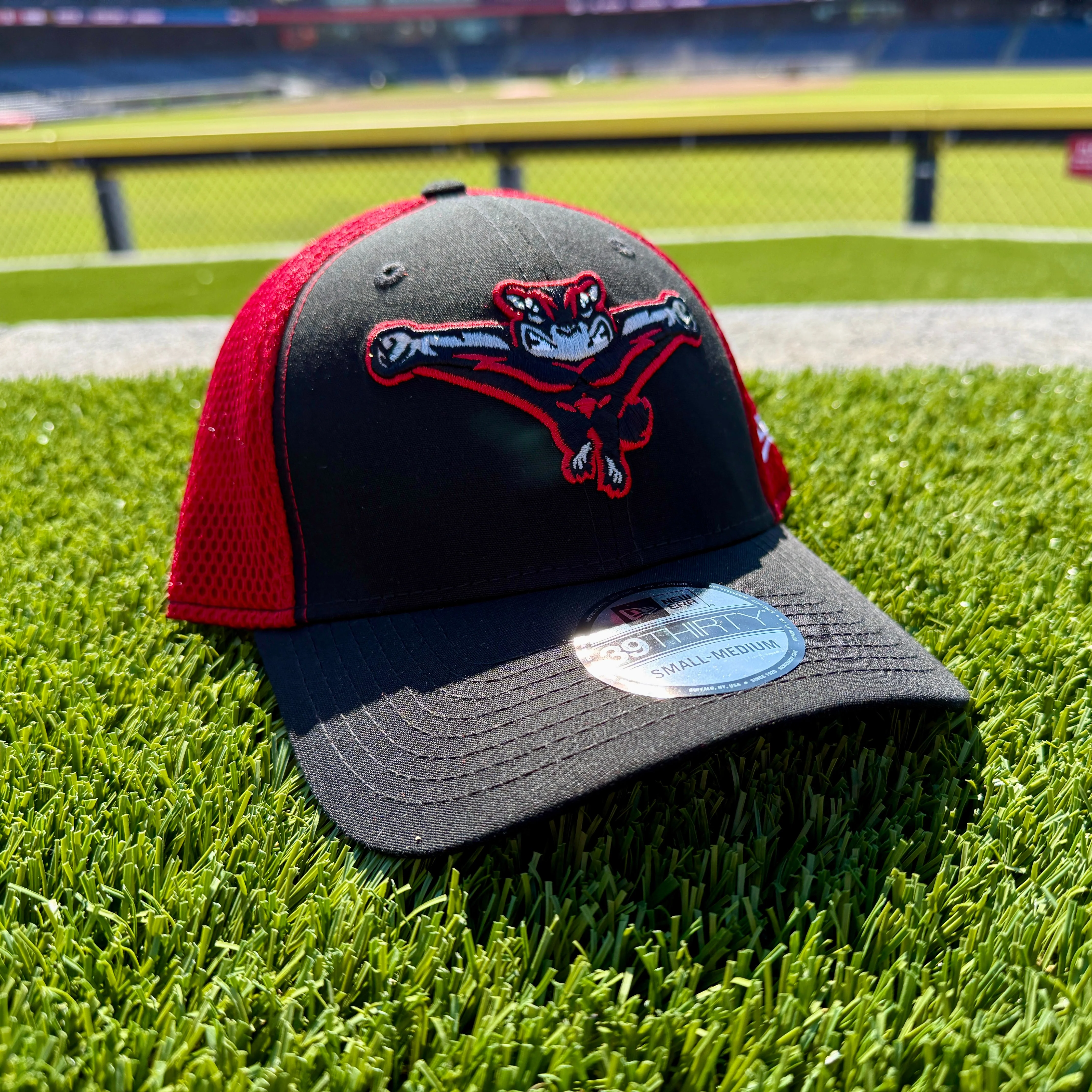 Richmond Flying Squirrels New Era Team Neo 39Thirty