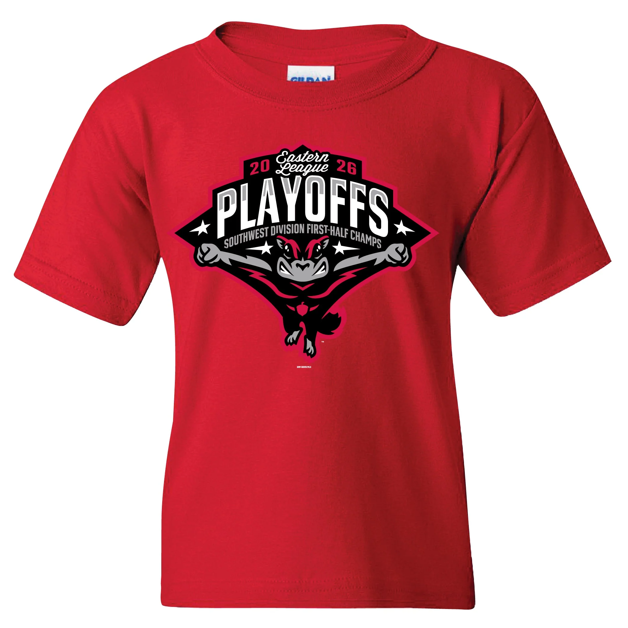 Richmond Flying Squirrels Youth First Half Champions Playoff Tee - Image 2