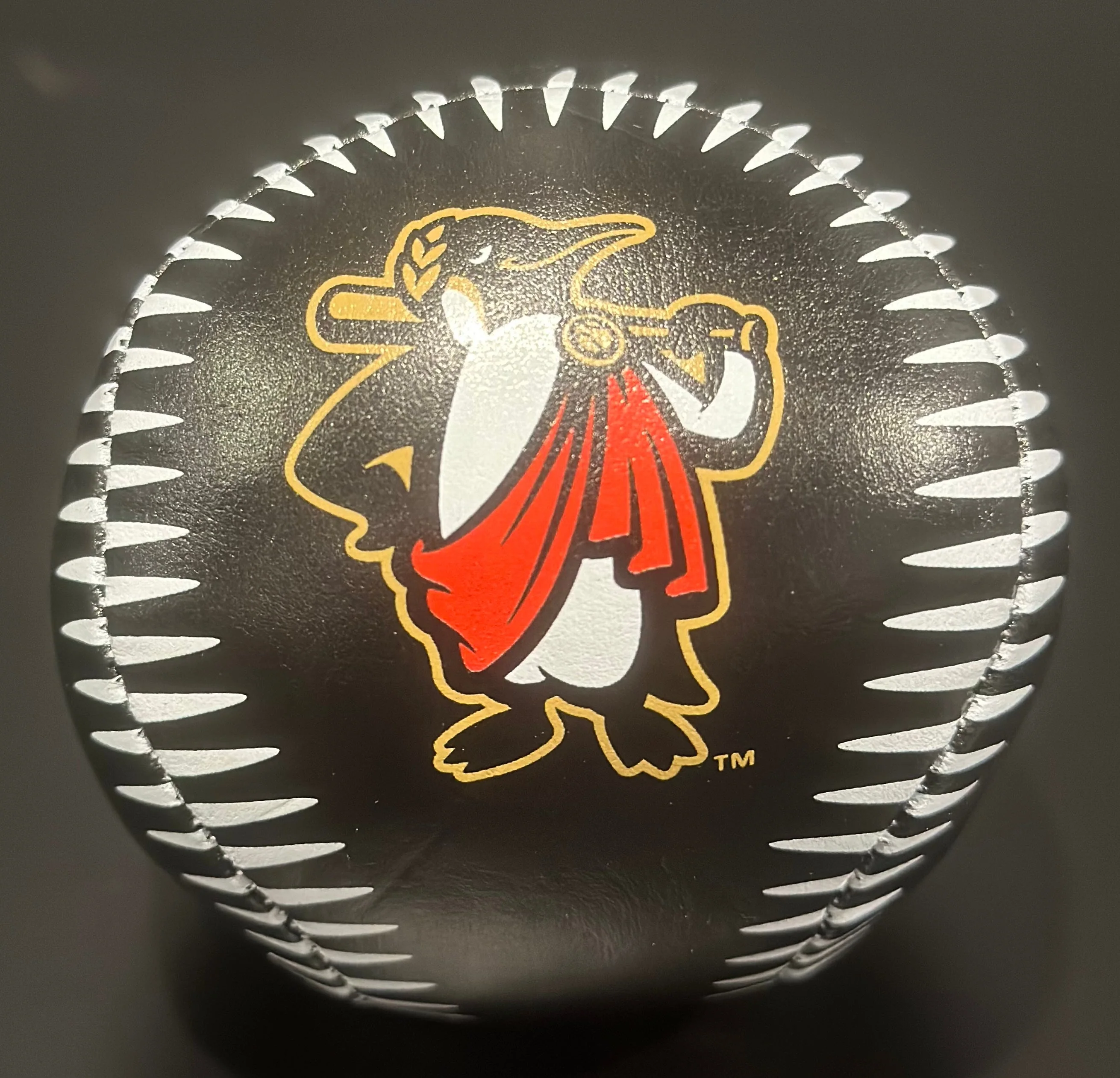 Rome Emperors Black Soft Baseballs