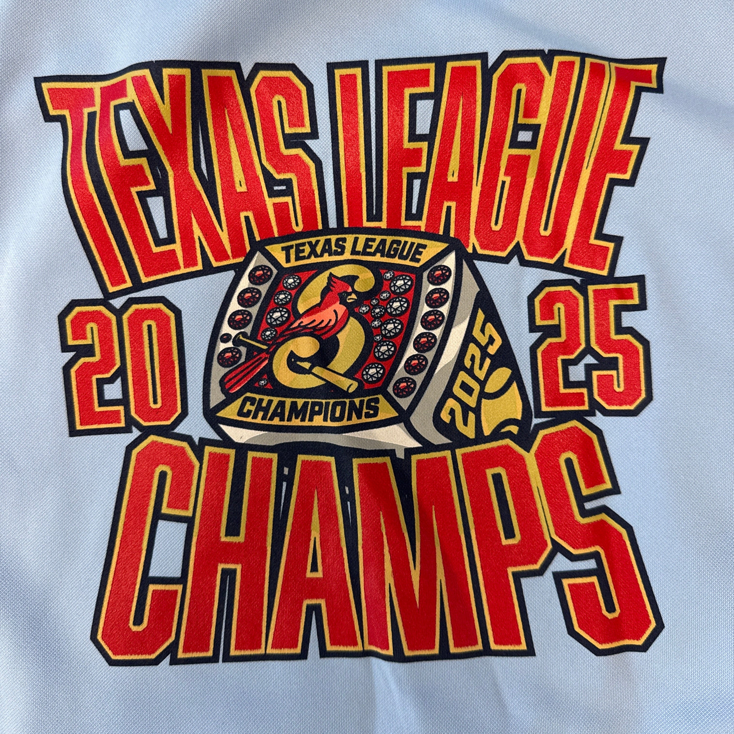 Springfield Cardinals TXL Champs Hoodie - Image 2