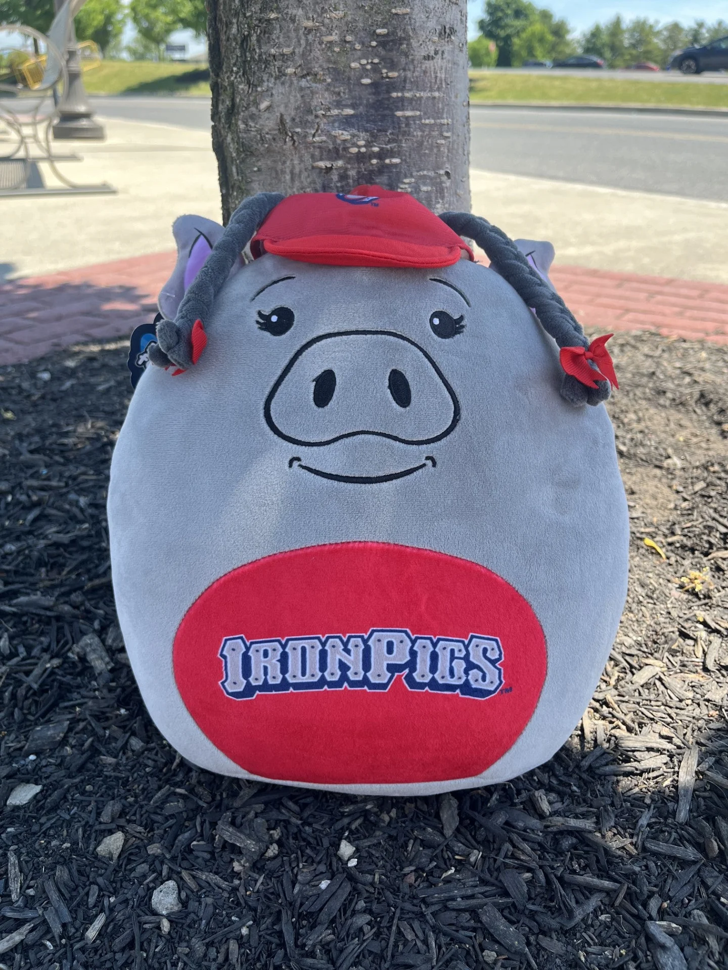 Lehigh Valley IronPigs SQUISH PILLOW FEFE
