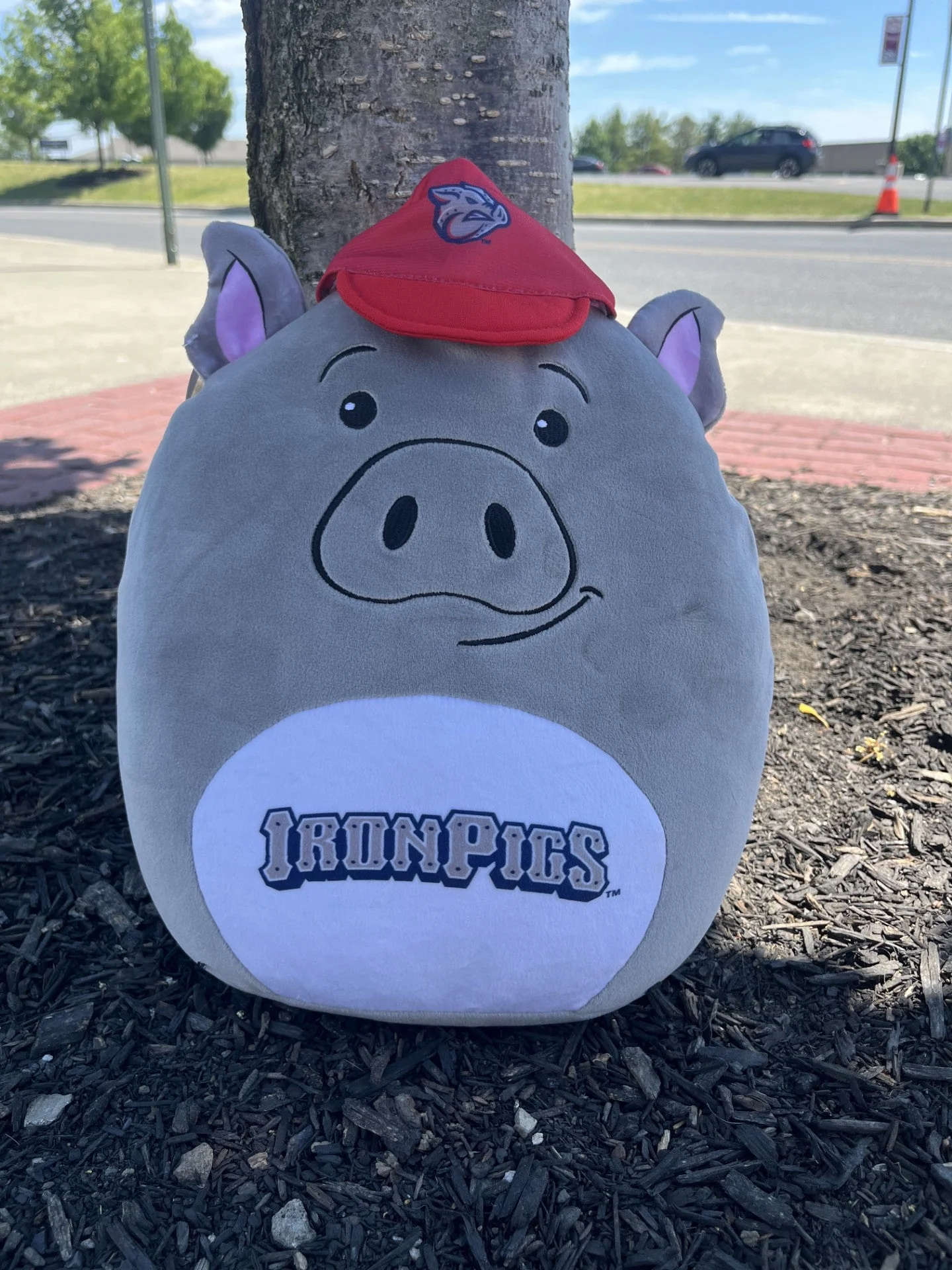 Lehigh Valley IronPigs SQUISH PILLOW FERROUS