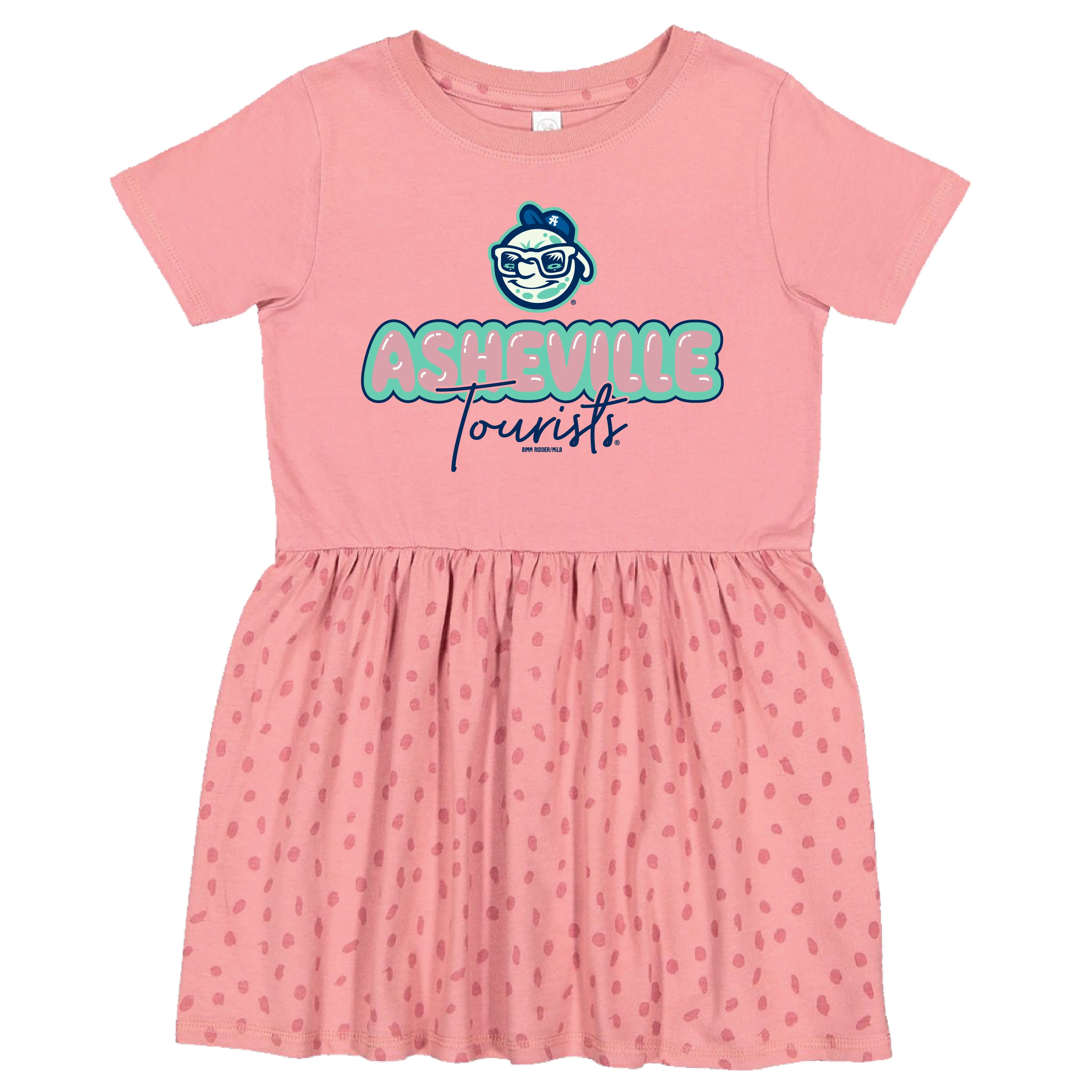 The Asheville Tourist Toddler Bubbly Dress