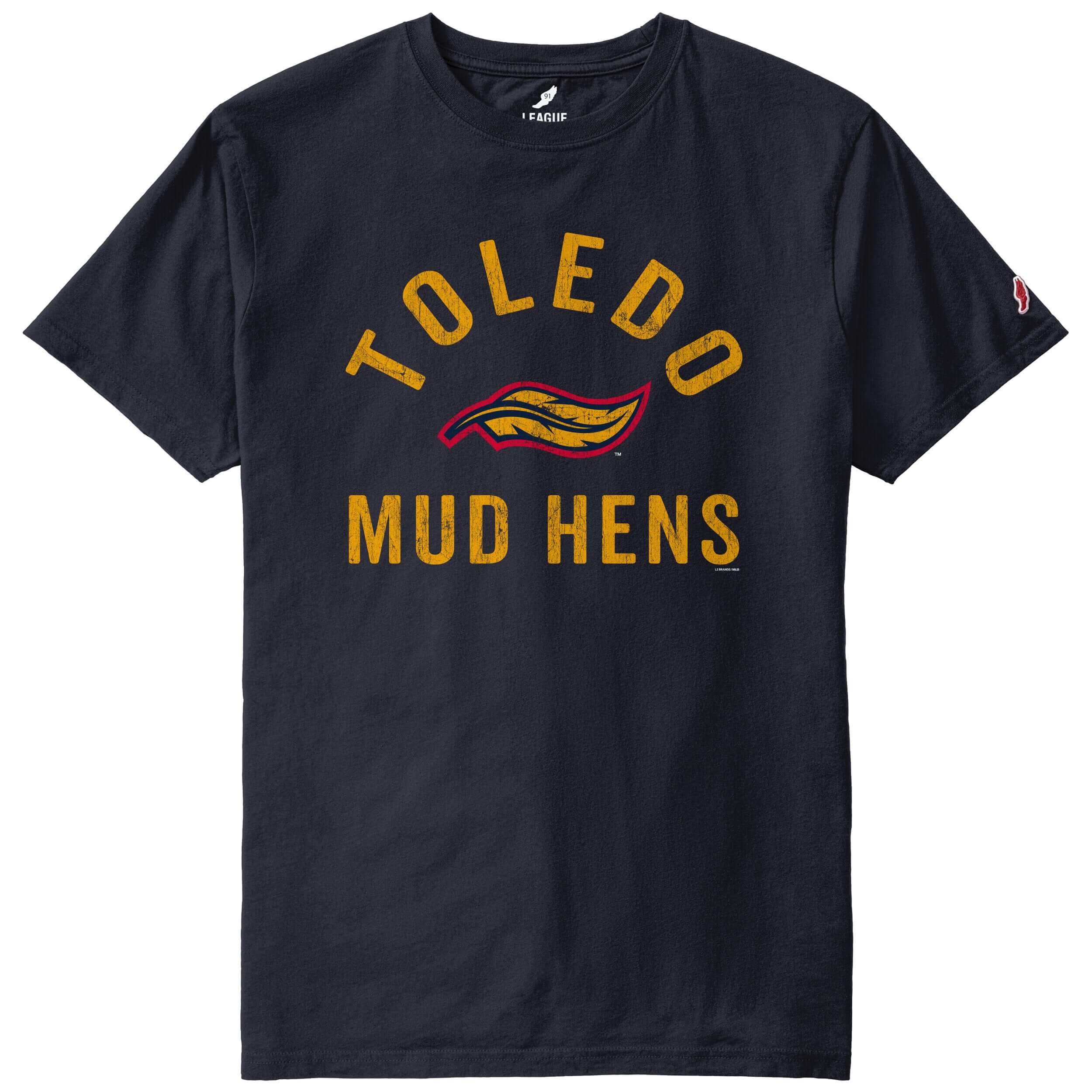 Toledo Mud Hens Feather Washed T