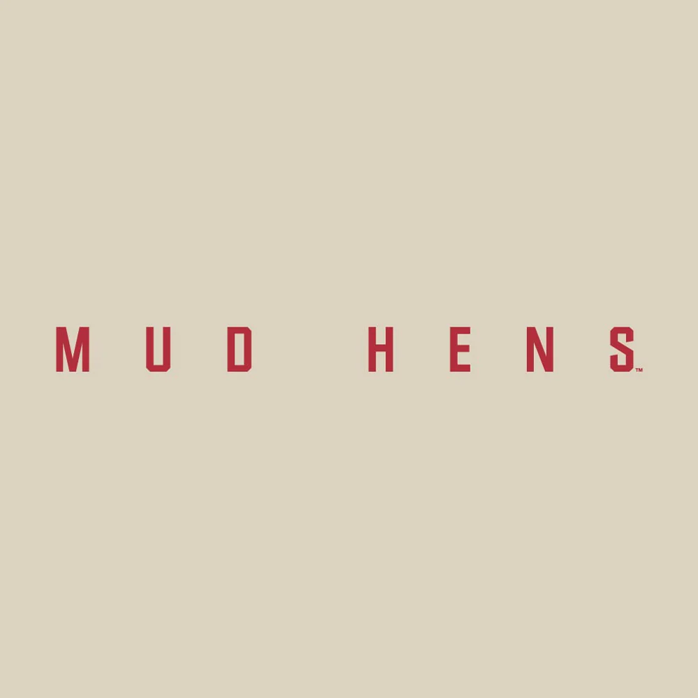Toledo Mud Hens Roa Powerblend Hood - Image 3