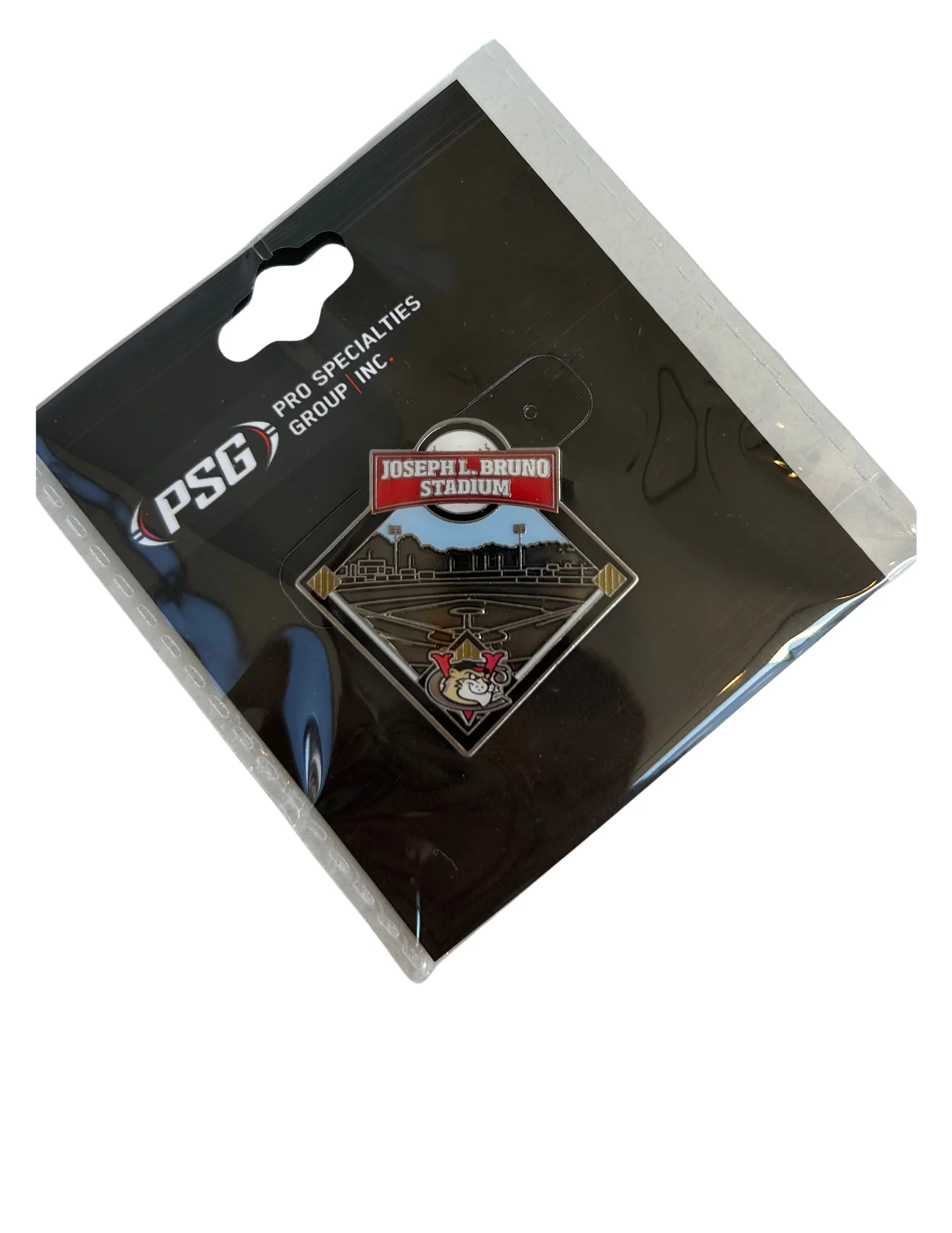 ValleyCats Stadium Pin