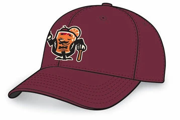 Wisconsin Supper Clubbers Maroon Protech Mesh Adjustable Cap *NEW* - Image 4