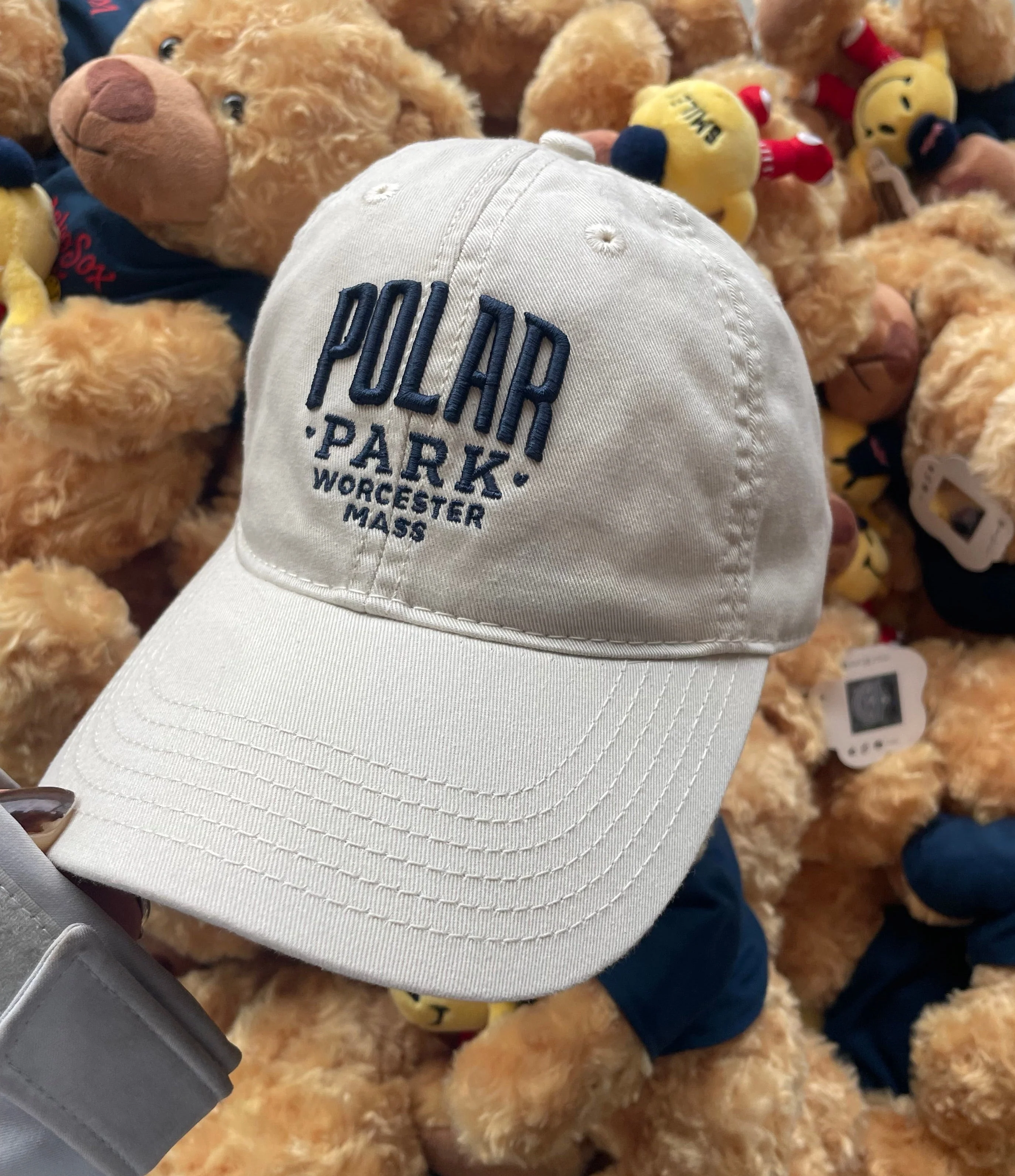 Worcester Red Sox L2 Brands Stone Toddler Polar Park Hat