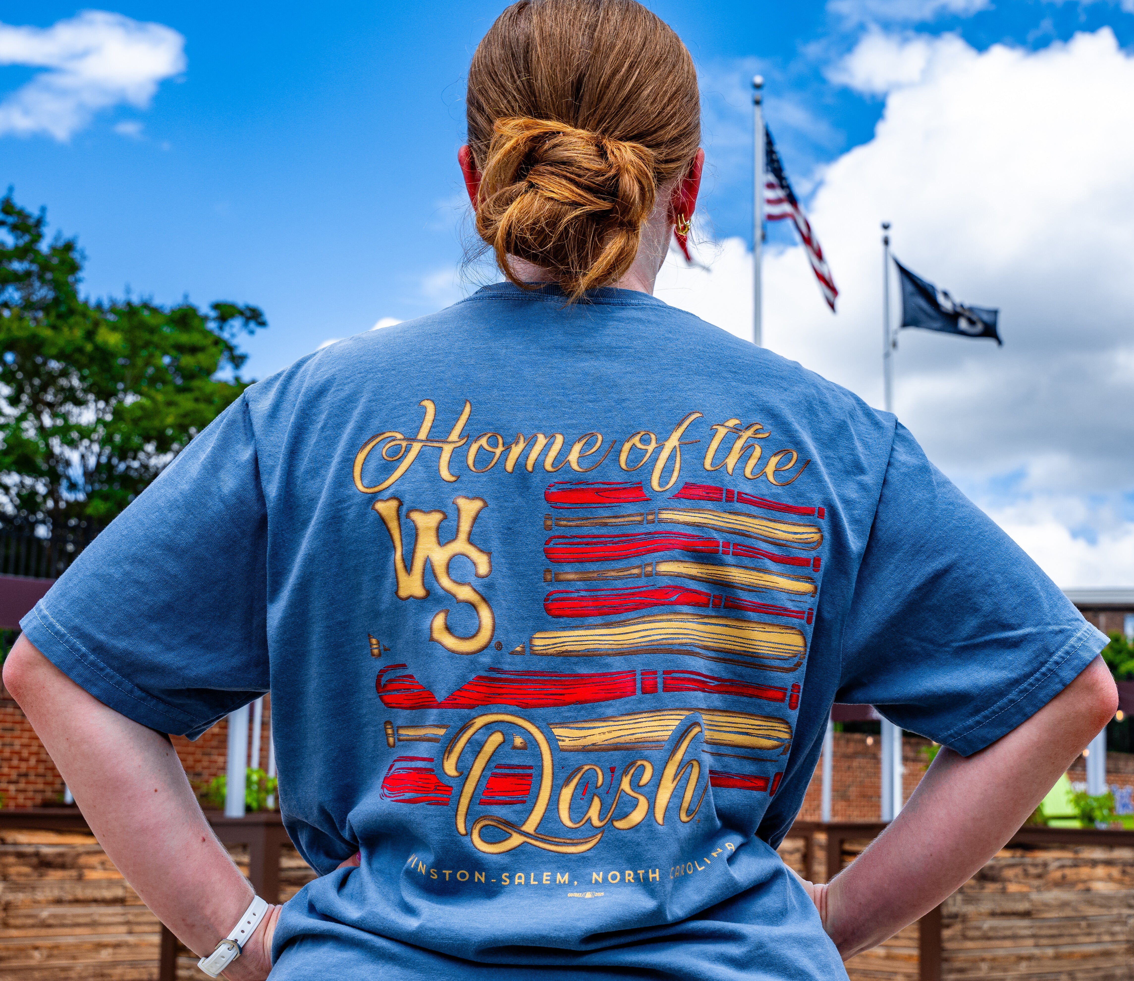 Winston-Salem Dash Bat Flag T-Shirt