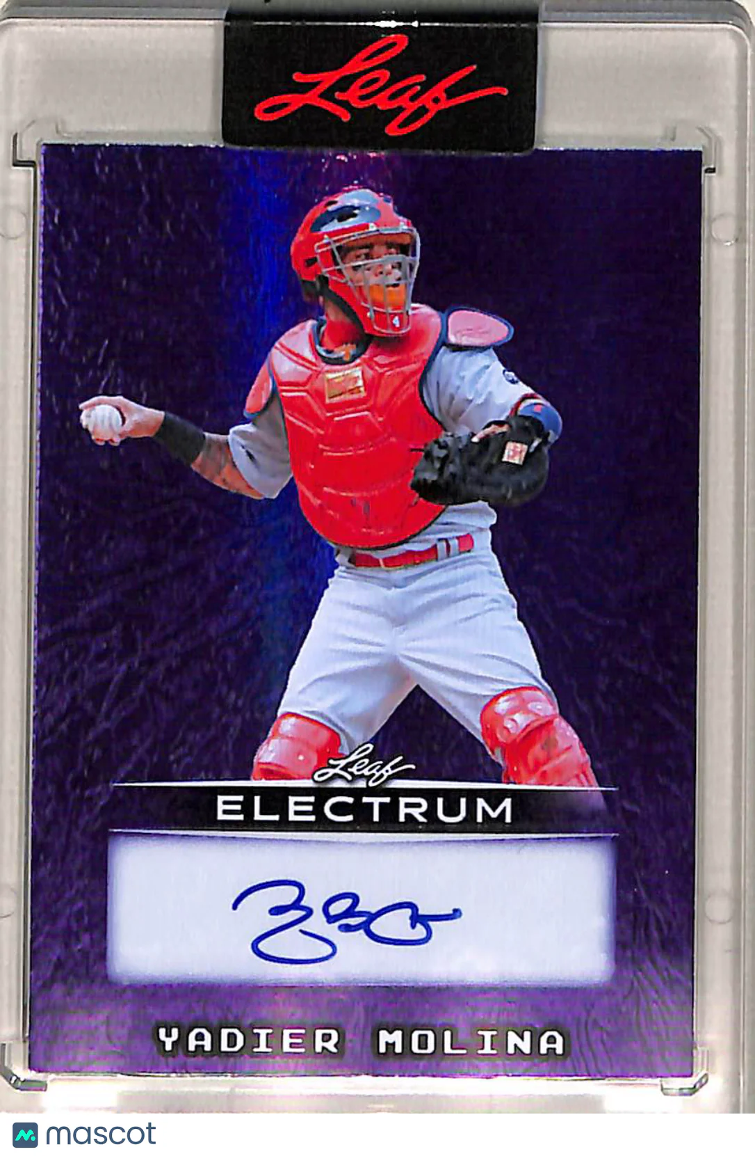 Yadier Molina 2025 Leaf Electrum #BA-YM1 Purple A